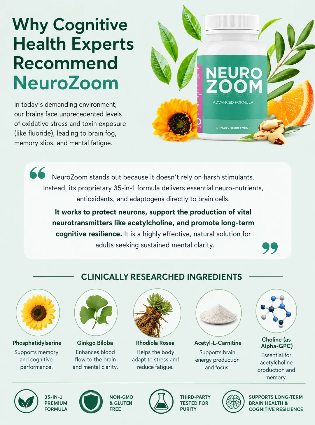 Medical Experts Recommend NeuroZoom for Brain Health